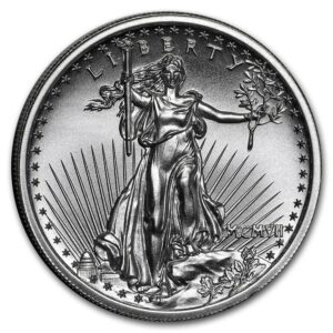 Private Mint 2 oz  Saint-Gaudens