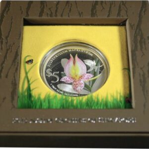 Singapore Mint Orchidej: Bulbophyllum Macranthum  1 oz