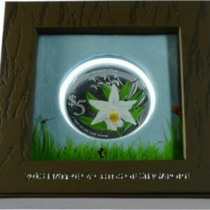 Singapore Mint Orchidej: Dendrobium Crumenatum 1 oz